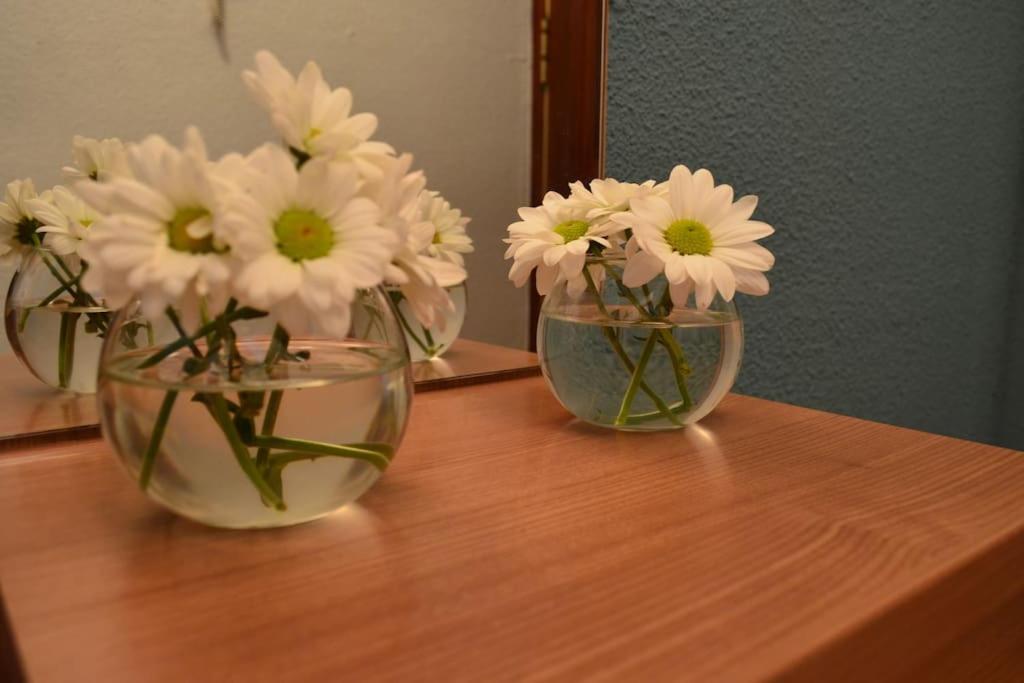 Appartement Domus Salamanca Edisson Extérieur photo